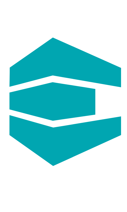 Logo Enavis